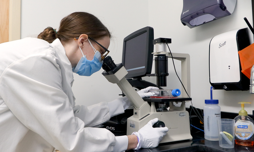 A researcher looks into a microscope. 