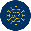 Cancer Cases Icon