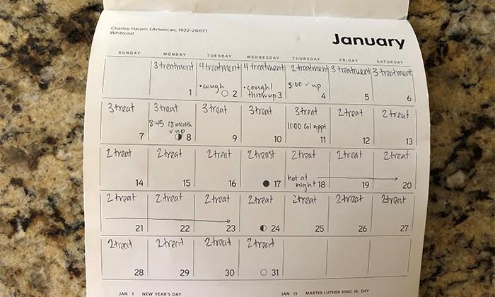 Brooke-Holloway-Staying-Organized-Calendar-Rectangle