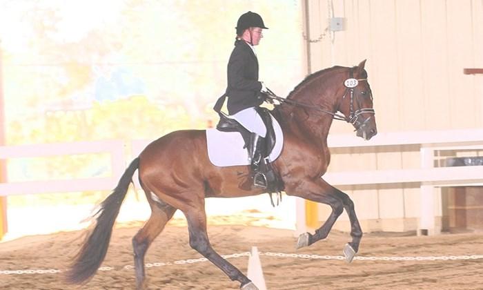 Sara-Kominsky-Horseback-Riding-Rectangle