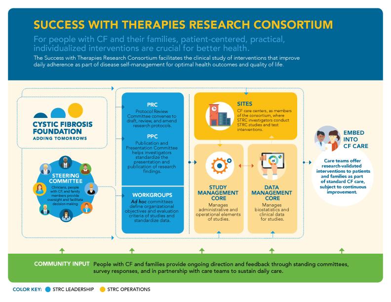 Graphic representation of the Success With Therapies Research Consortium organizational structure