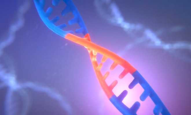 Illustration of how gene editing could be used in CF